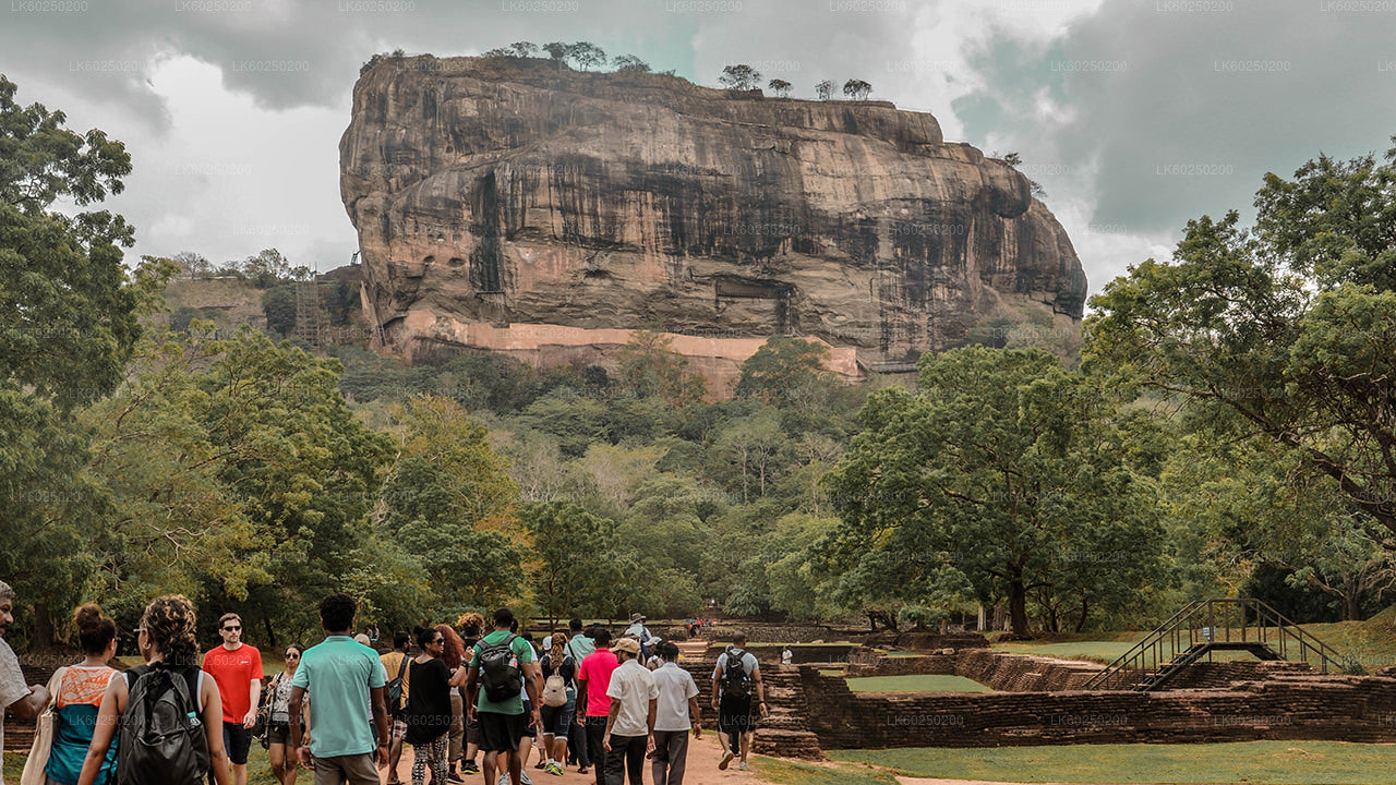 Sigiriya Rock och Wild Elephant Safari från Pasikuda