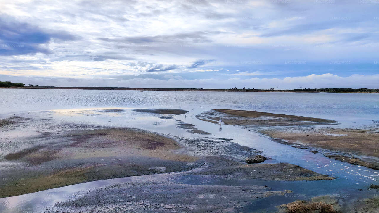 Bundala nationalparksafari från Dikwella