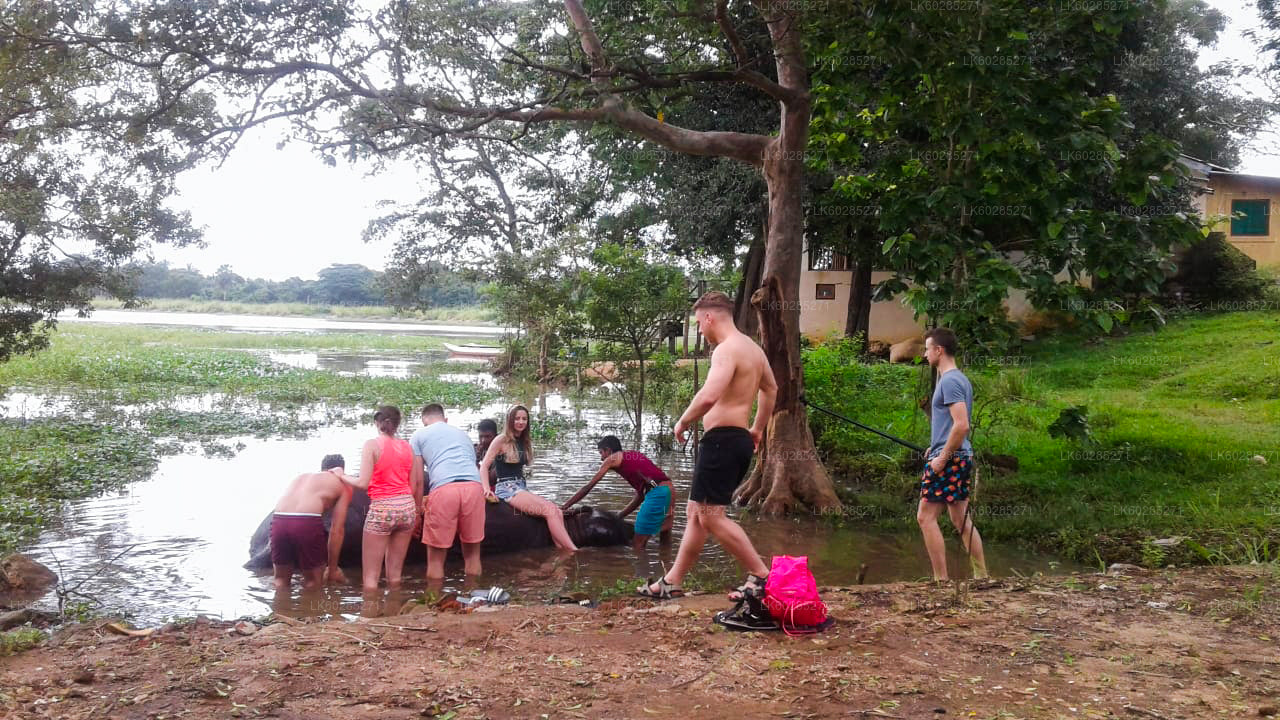 Elefantsafari från Habarana