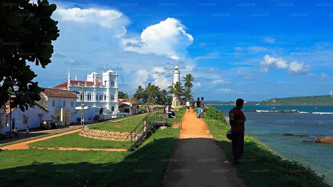 Höjdpunkter på södra kusten från Weligama City