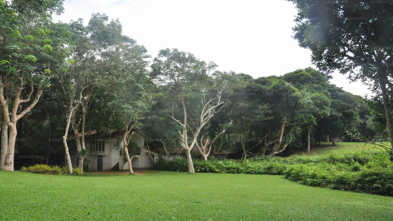 Bentota City Tour från Weligama