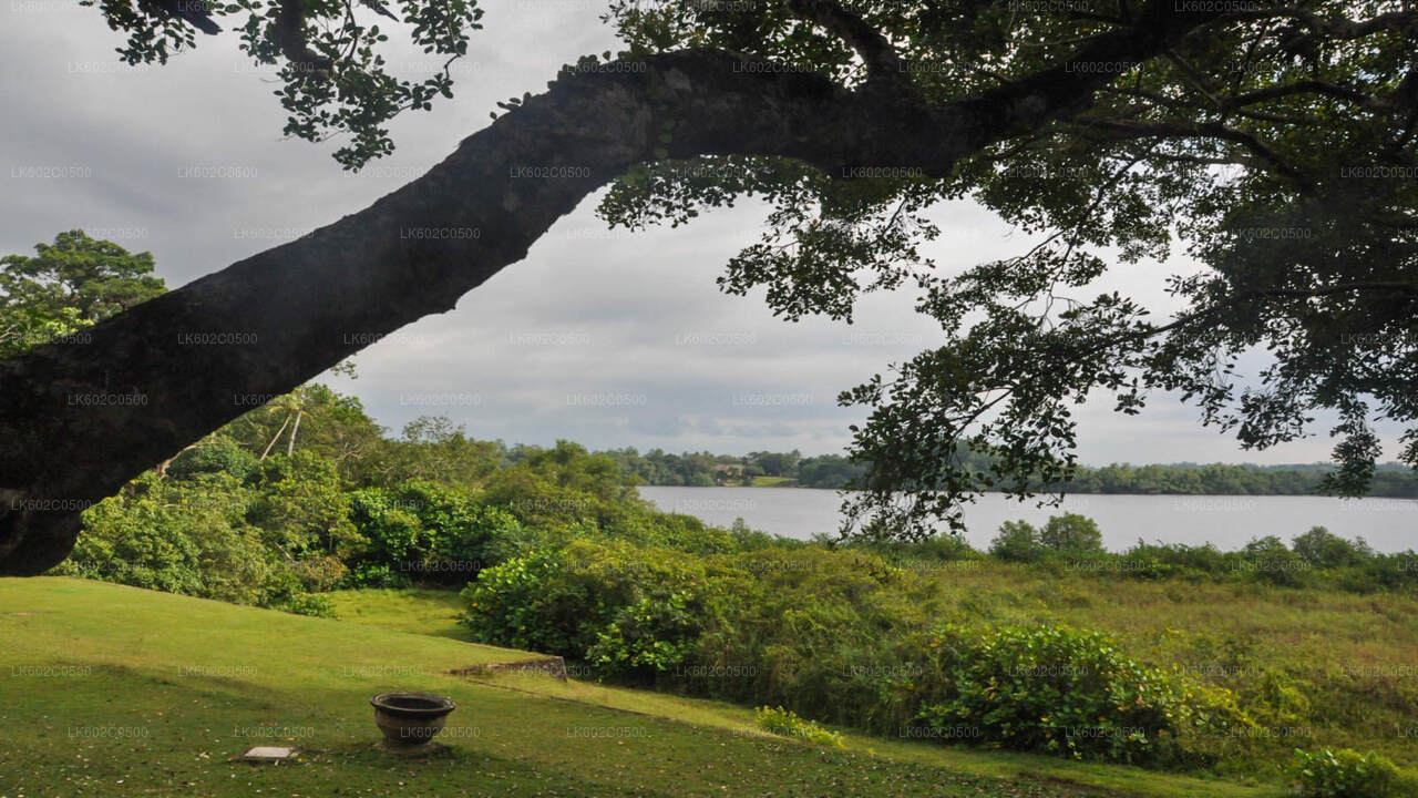 Bentota City Tour från Weligama