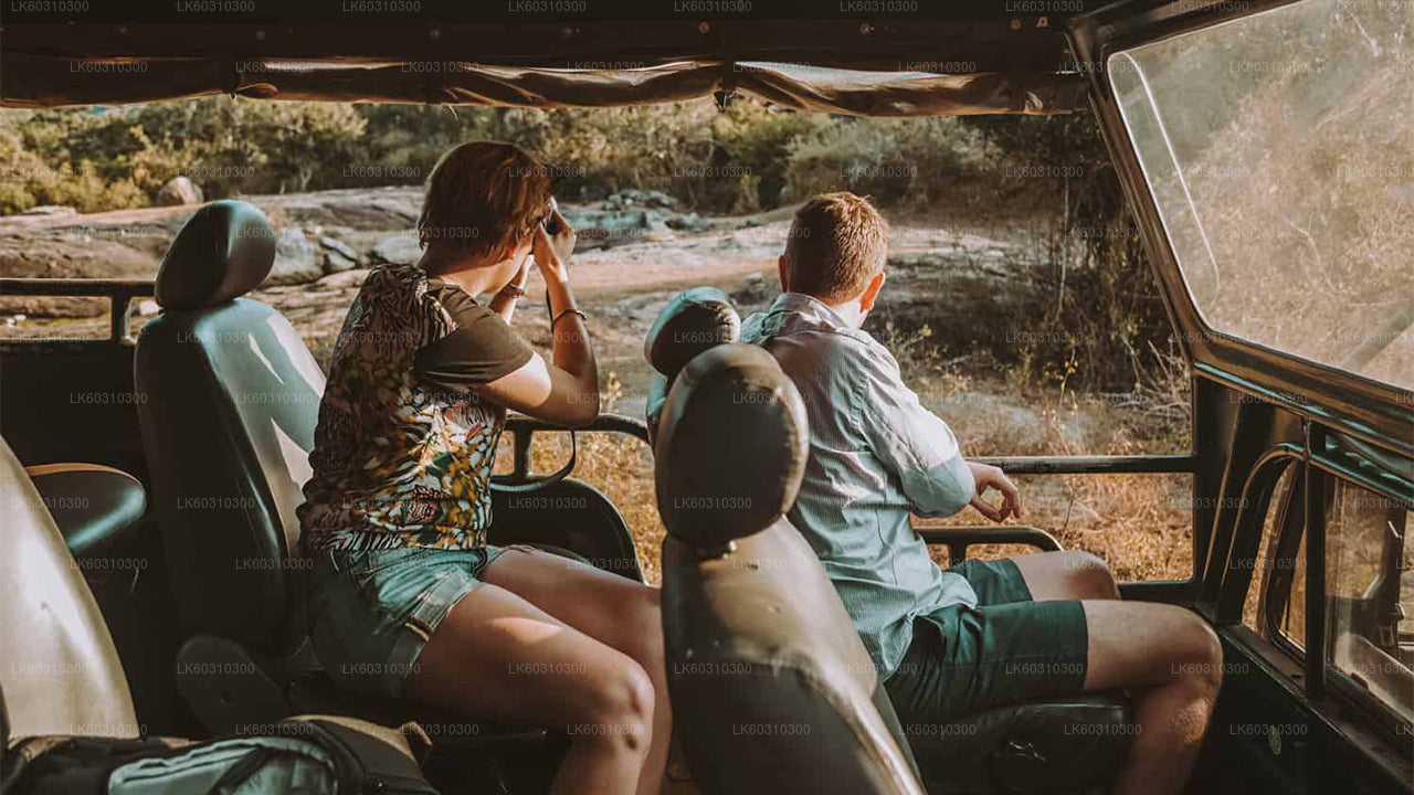 Yala National Park Safari från Ahangama