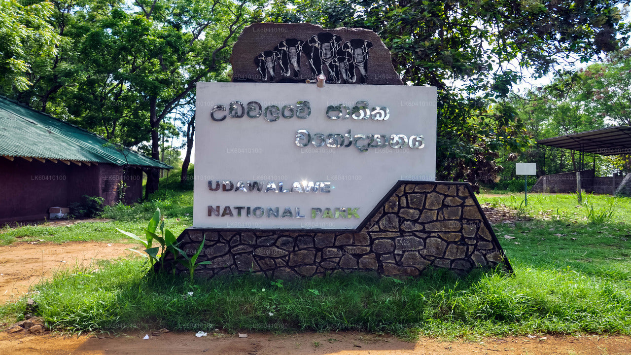 Udawalawe National Park Safari från Unawatuna