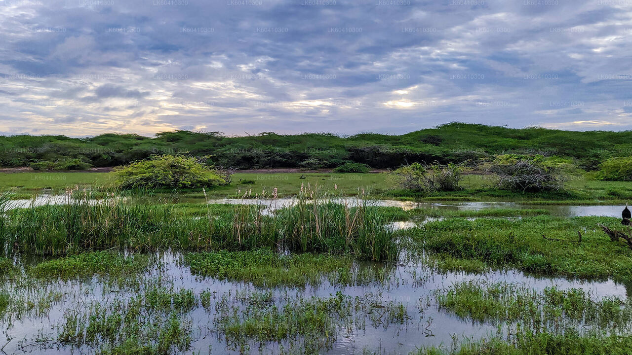 Bundala National Park Safari från Unawatuna