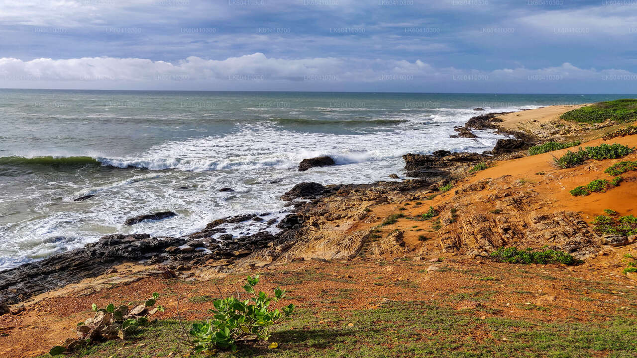 Bundala National Park Safari från Unawatuna