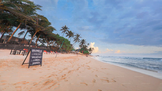 Höjdpunkter från Unawatuna på södra kusten