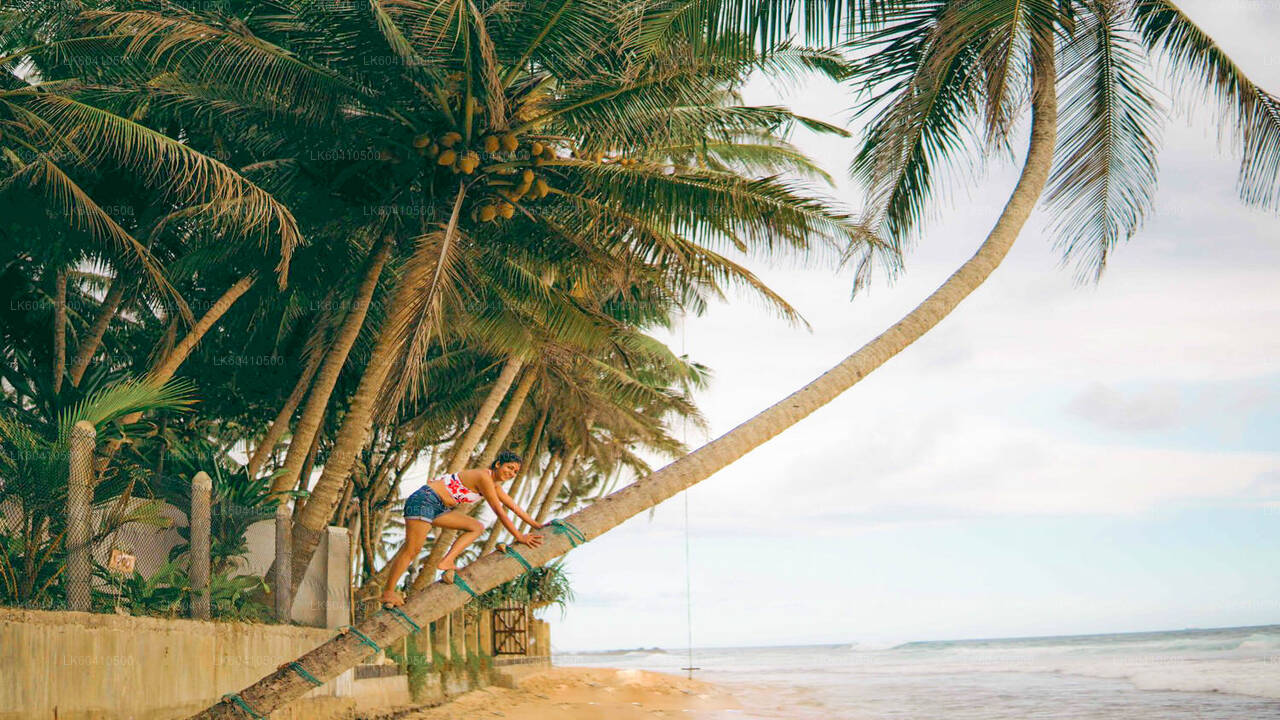 Höjdpunkter från Unawatuna på södra kusten