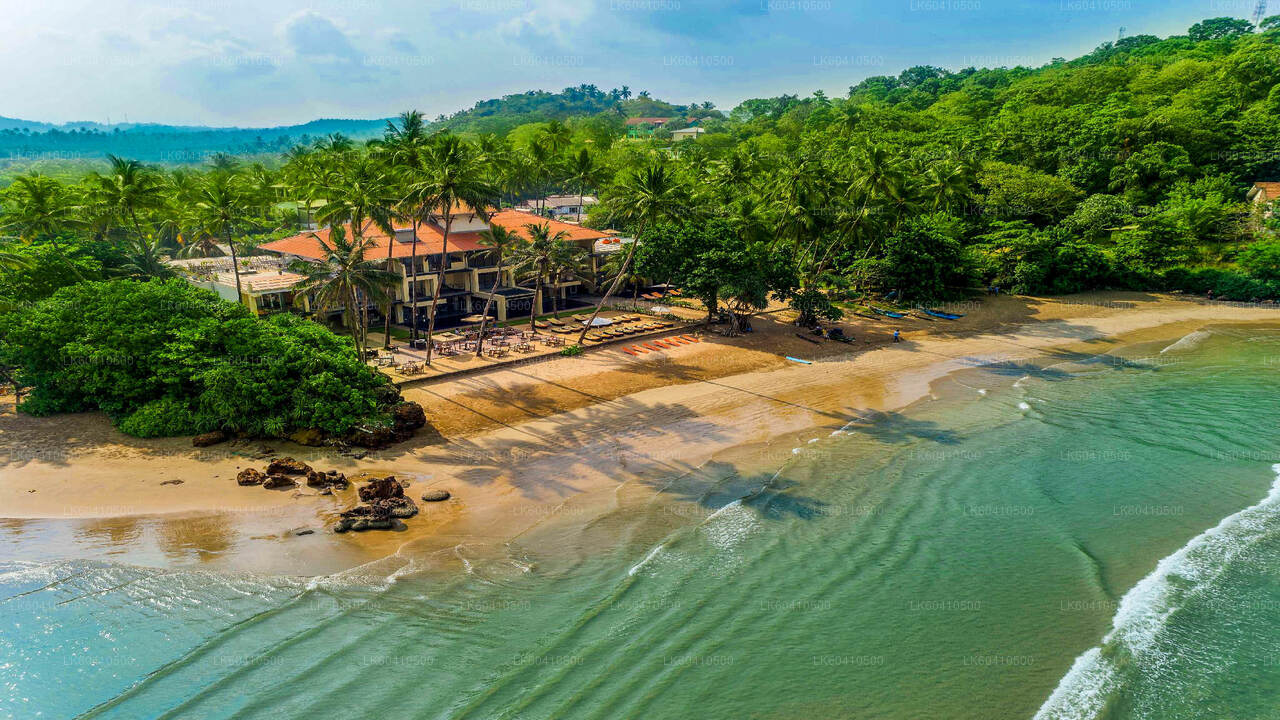 Höjdpunkter från Unawatuna på södra kusten