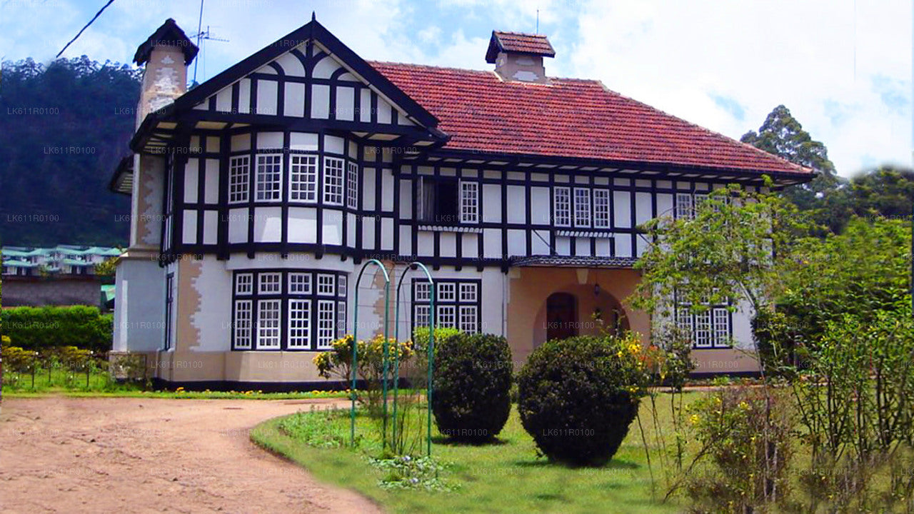 Nuwara Eliya stadsrundtur