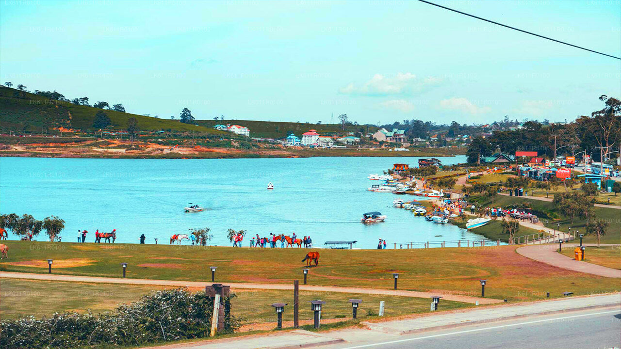 Nuwara Eliya stadsrundtur