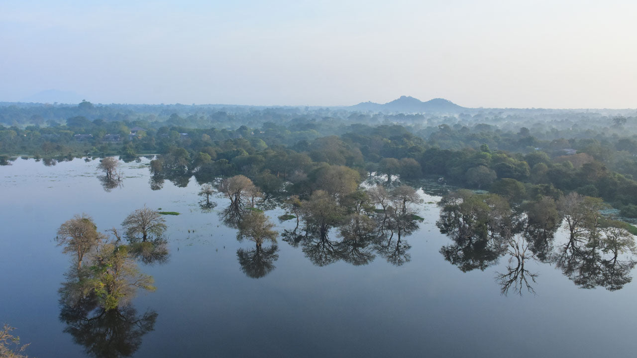 Varmluftsballongtur från Kandalama