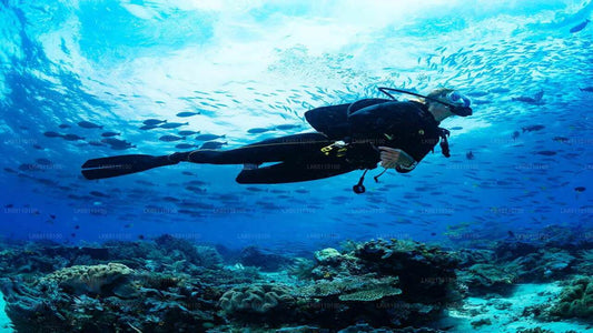 Professionell dykning från Bentota