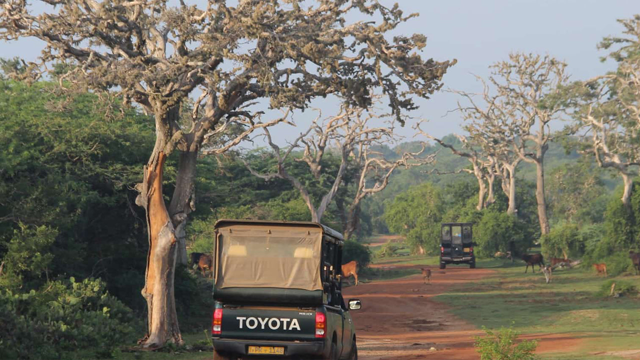 A vehicle with a TOYOTA logo on the front grille, driving down a dirt road in a natural setting with trees on both sides.