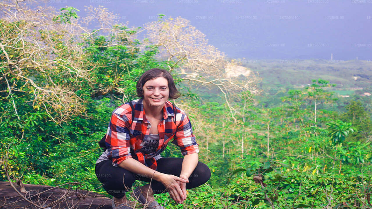 Skogsklättring från Mount Lavinia