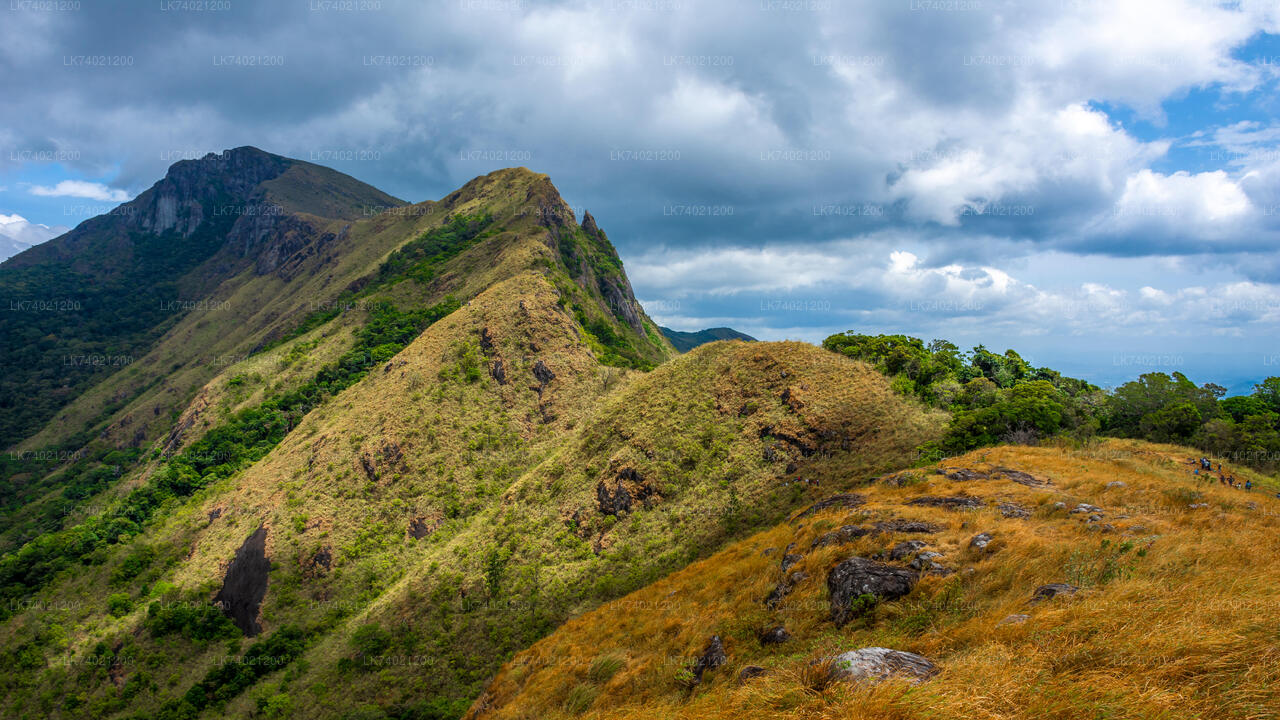 Kehelpothdoruwegala Vandra från Kandy