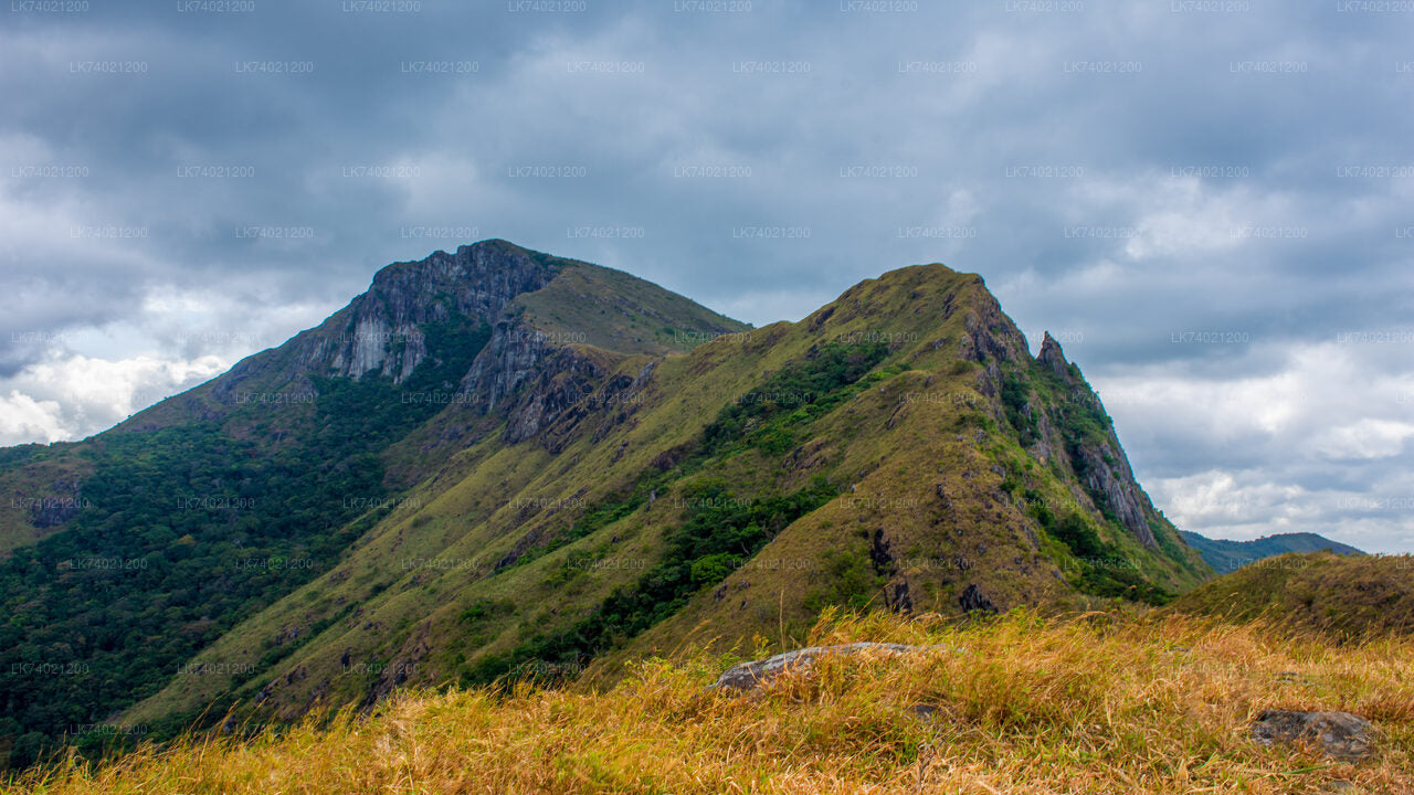 Kehelpothdoruwegala Vandra från Kandy