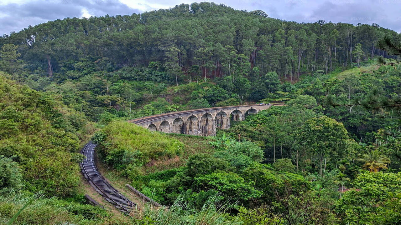 Vandra till Little Adam's Peak och Nine Arches Bridge från Ella