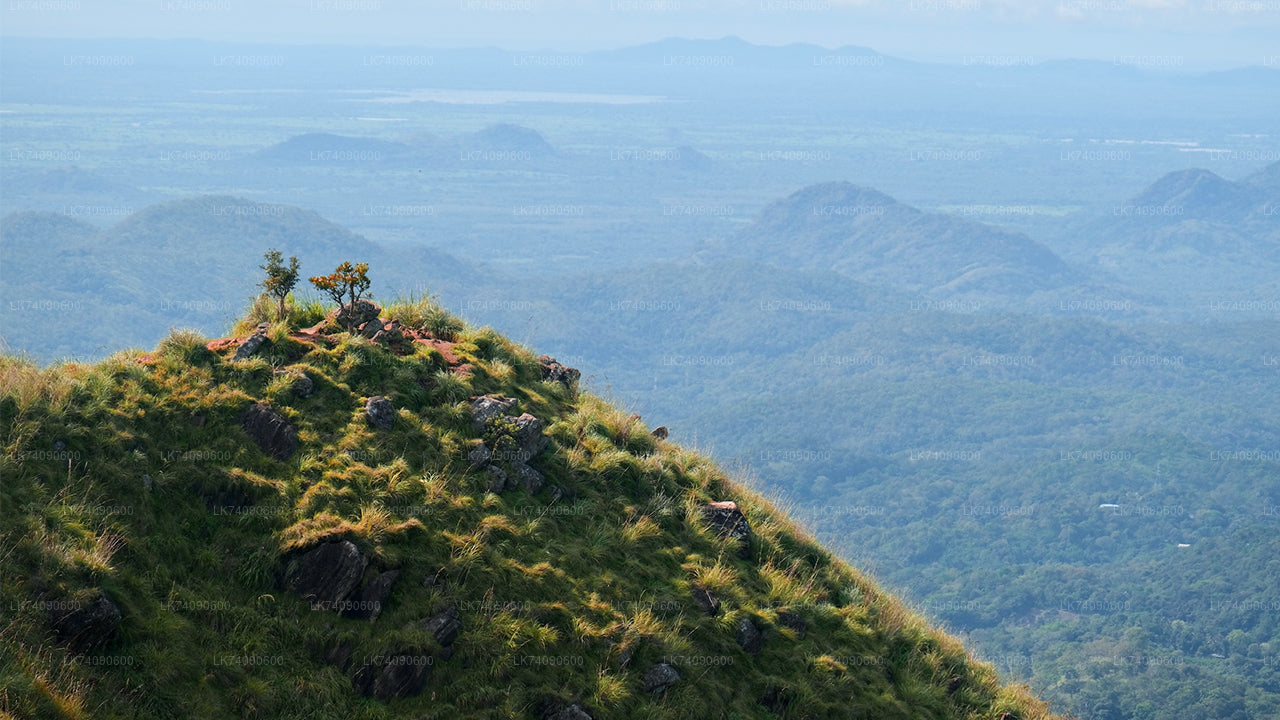 Vandringstur till Ella Tre ikoner från Ella