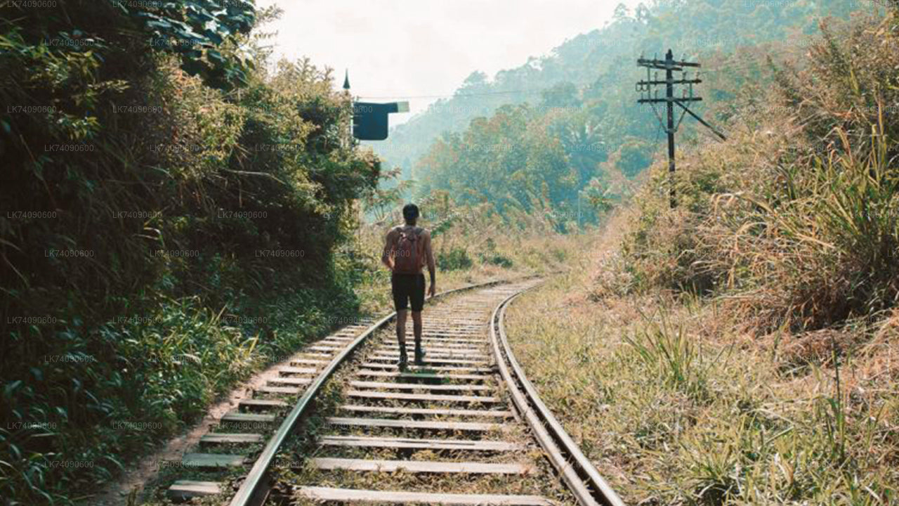 Vandringstur till Ella Tre ikoner från Ella