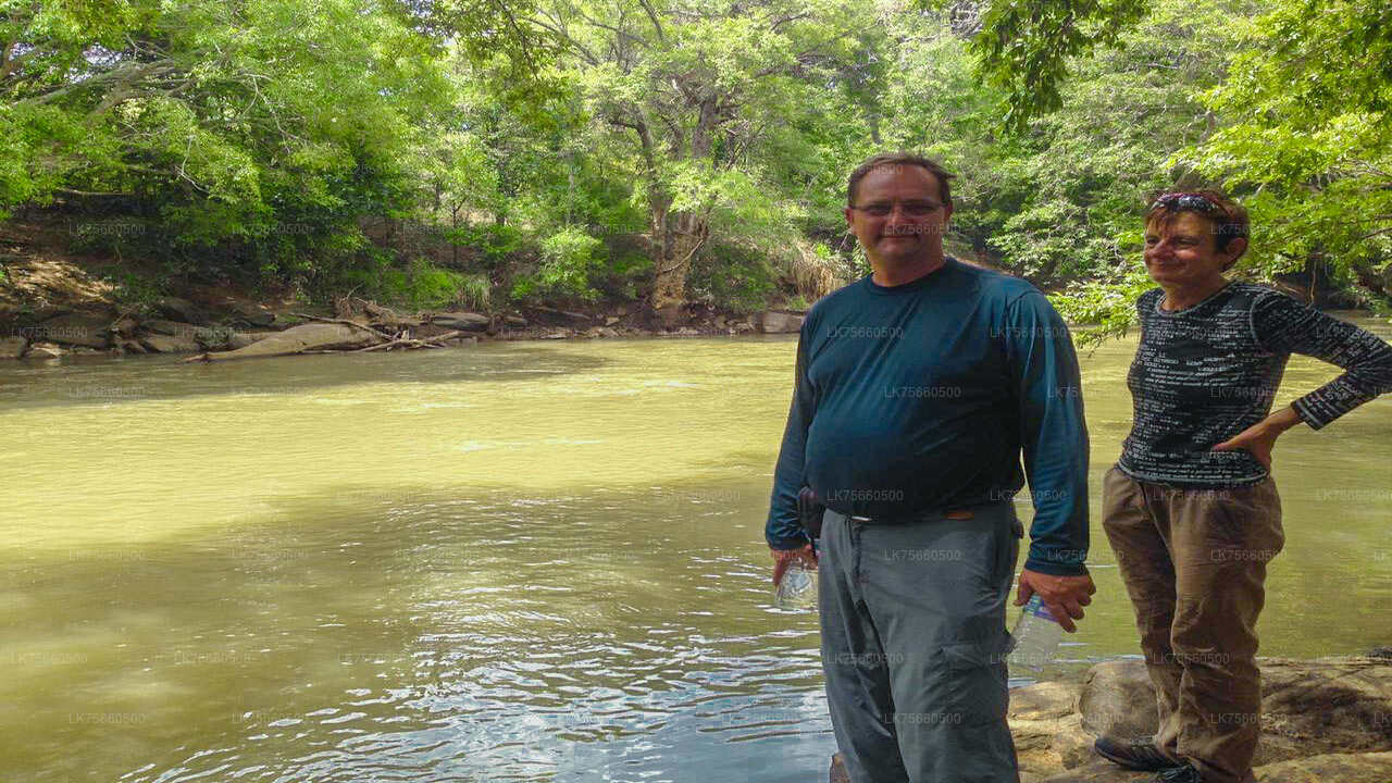 Fågelskådningssafari vid Udawalawe National Park från Mount Lavinia