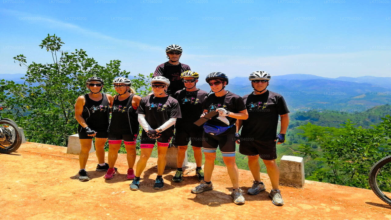 Aktiviteter från Galle