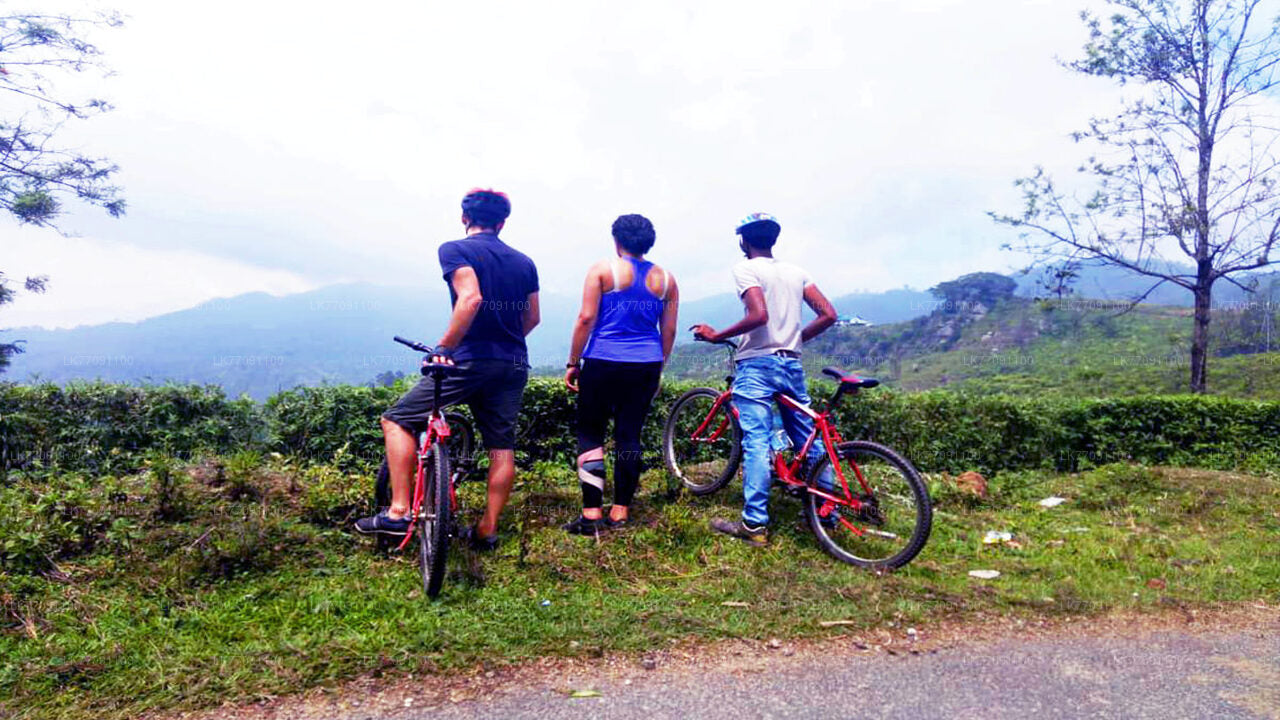 Äventyrscykling från Ella