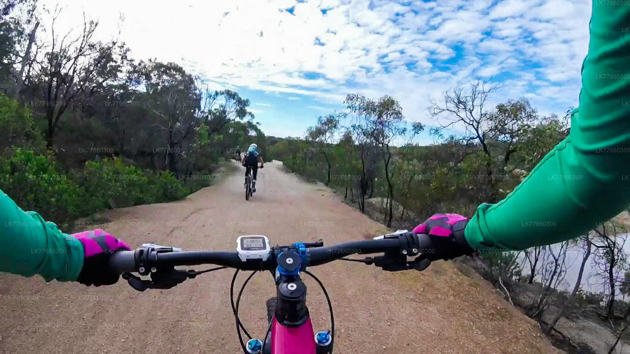 Cykeltur i Thalangama våtmark från Colombo