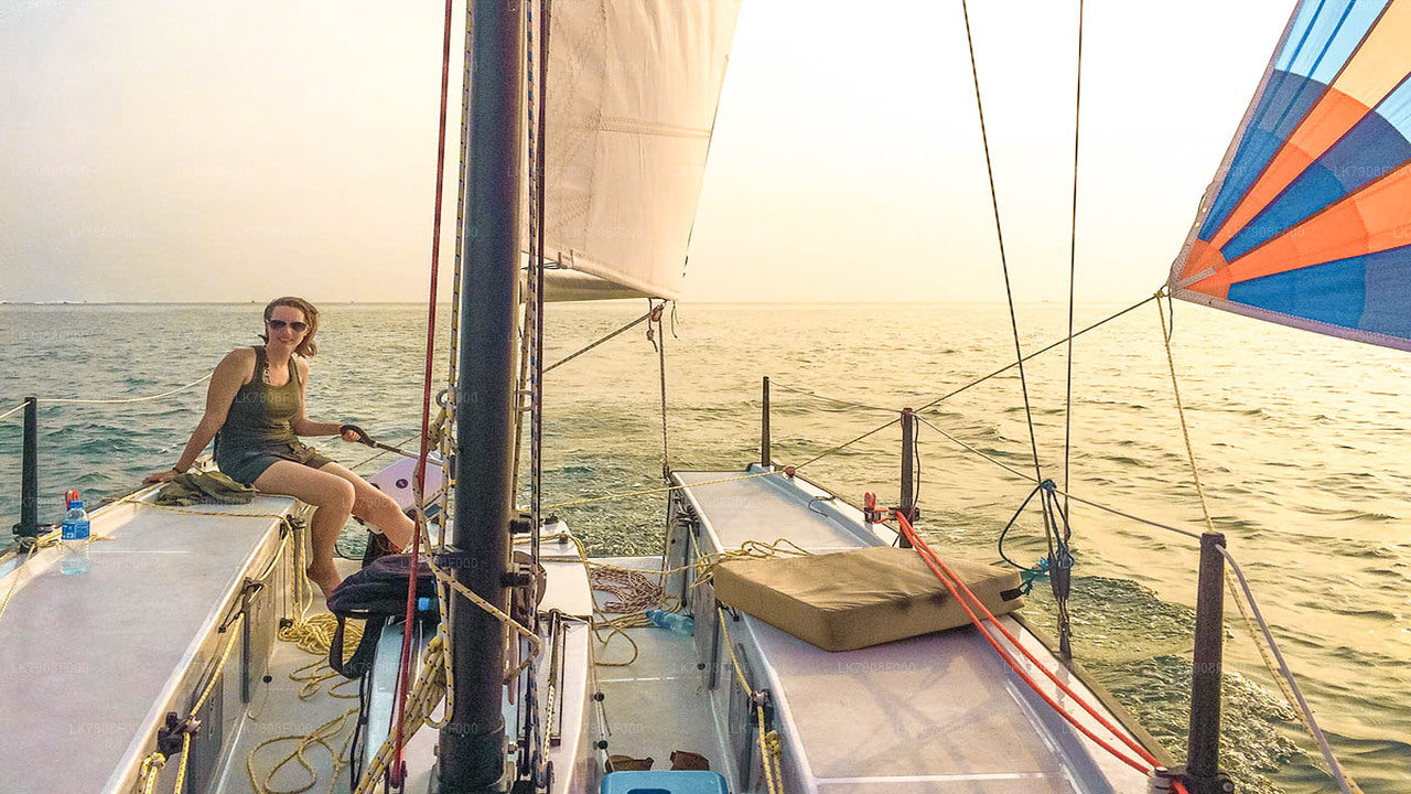 3-nätters kryssningssemester i Mirissa