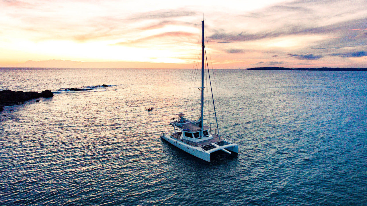 3-nätters kryssningssemester i Mirissa