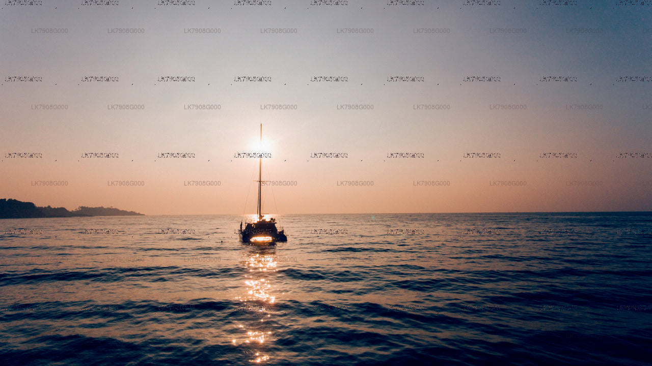 2-nätters kryssningssemester i Mirissa