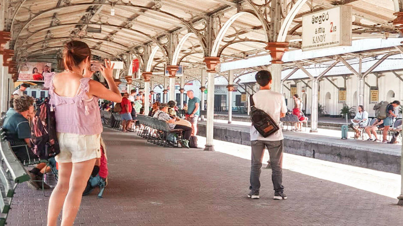 Colombo till Ella tågresa på (Tåg nr: 1015 ”Udarata Menike”)