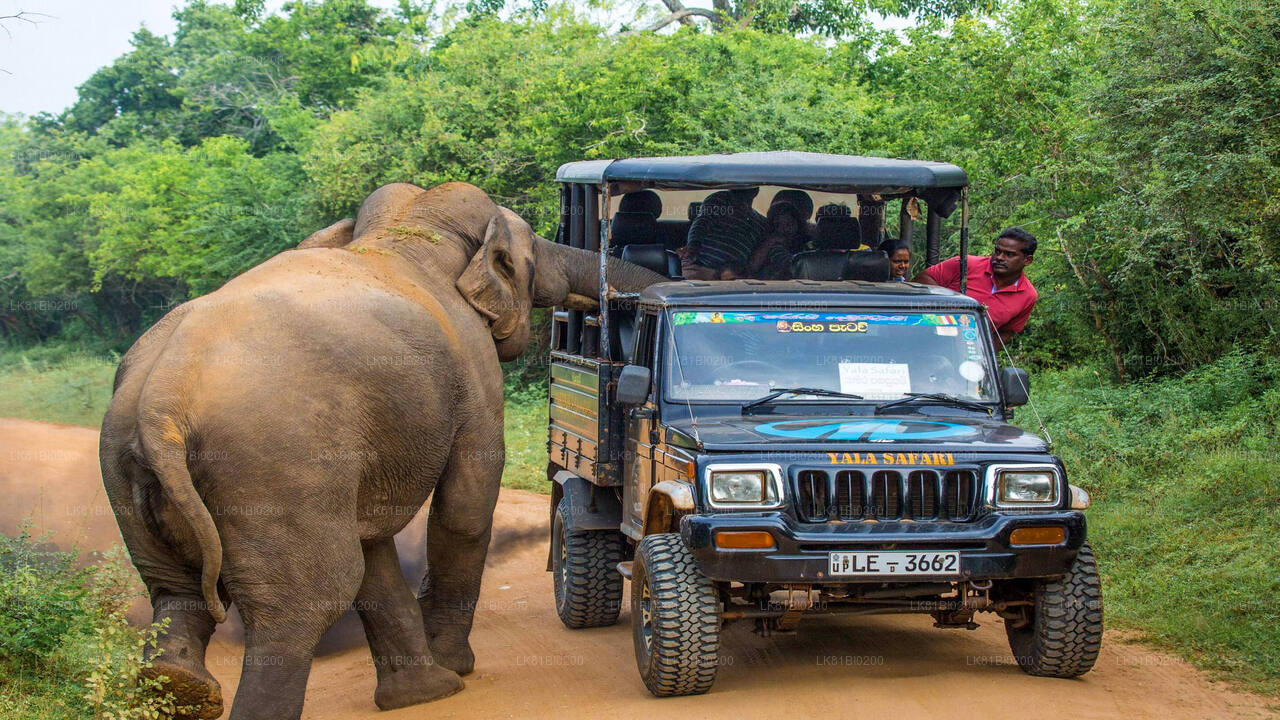 Yala nationalparksafari från Hambantota hamn