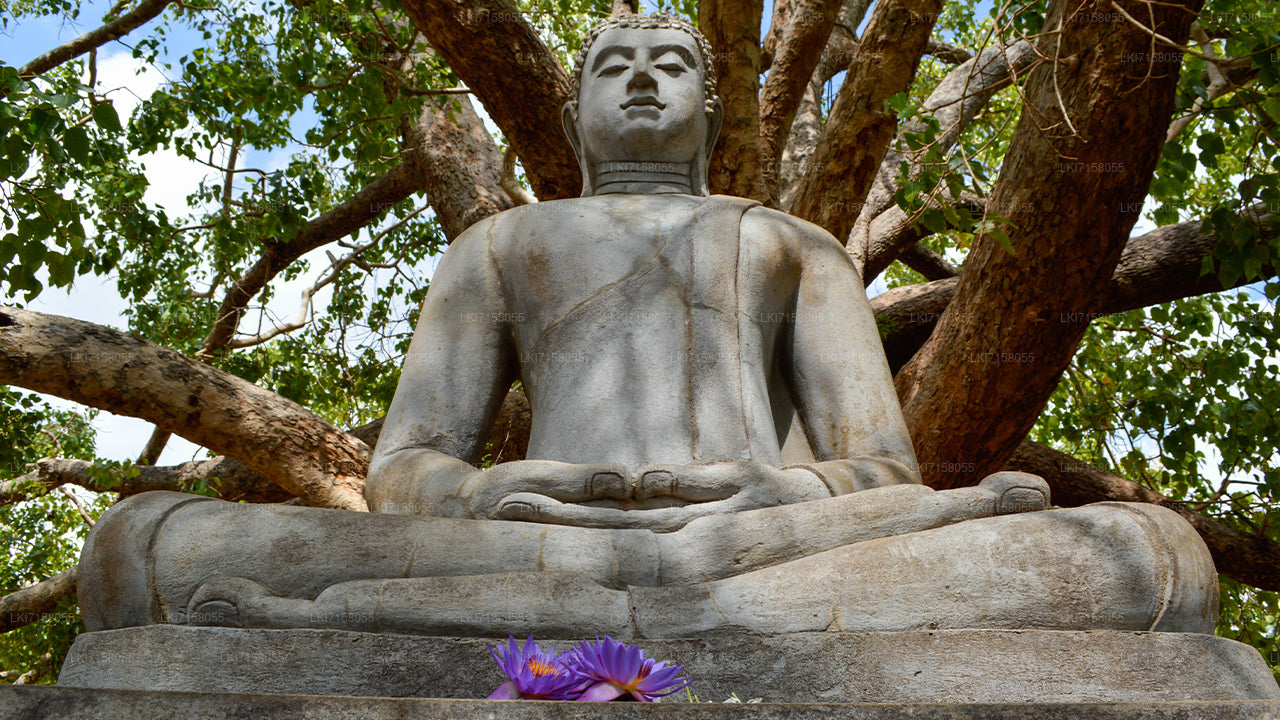 Andlig erfarenhet från Anuradhapura