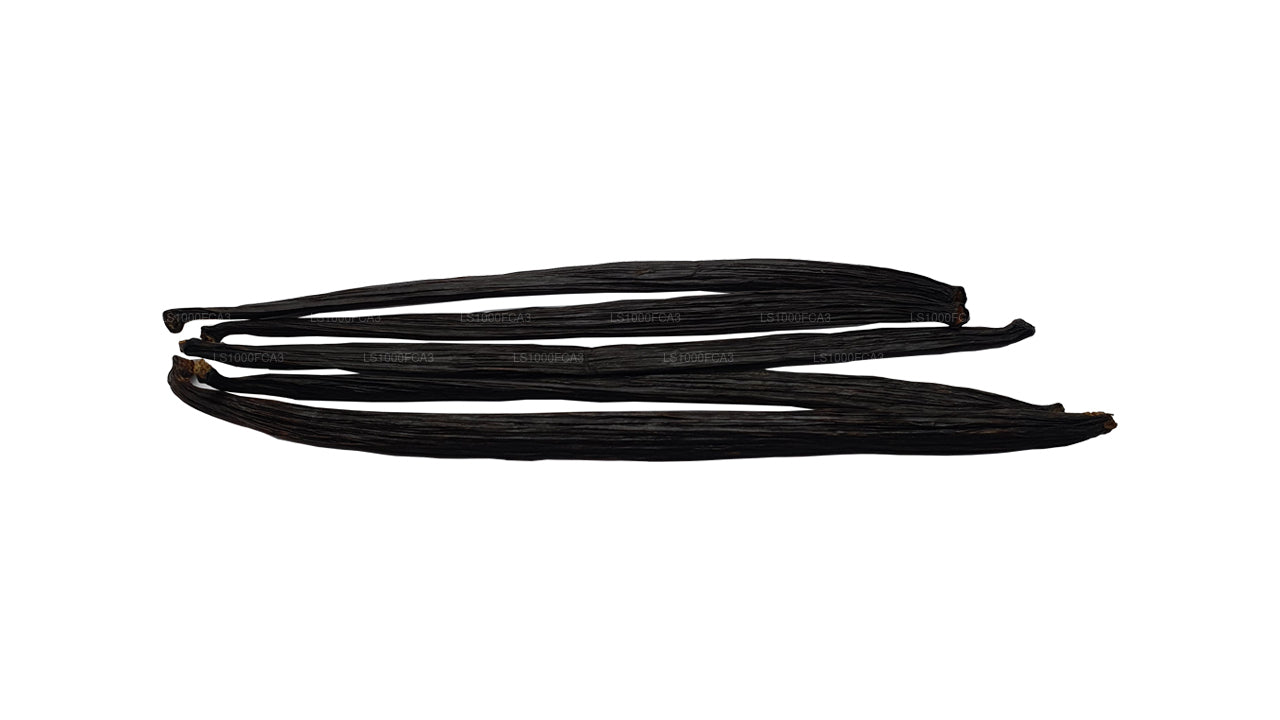 Lakpura Sri Lanka (Ceylon) Grade ”A” naturliga vaniljbönor