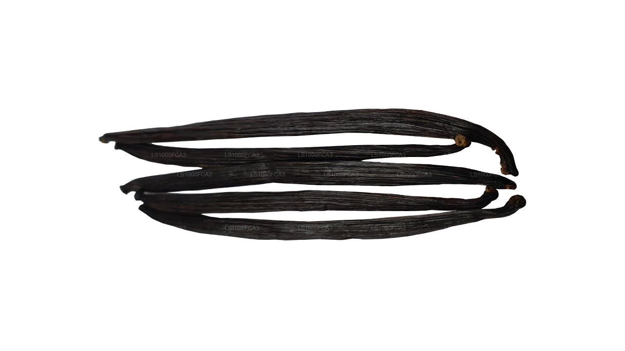 Lakpura Sri Lanka (Ceylon) Grade ”A” naturliga vaniljbönor