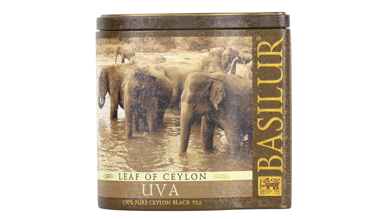 Basilur Leaf av Ceylon ”Uva” (100g) Caddy
