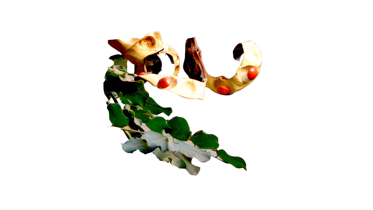 Lakpura Madatiya frön (röda frön, dekorativa frön) 250 frön