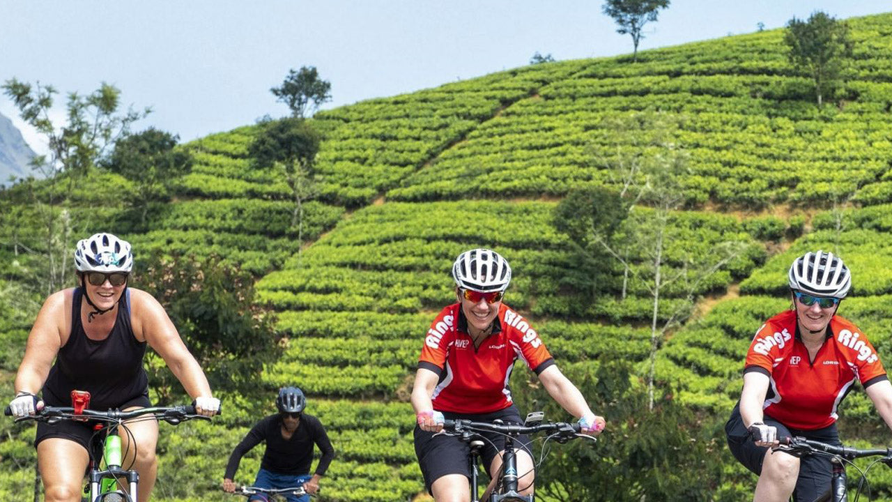 Nuwara Eliya Highlands cykeltur från Kandy