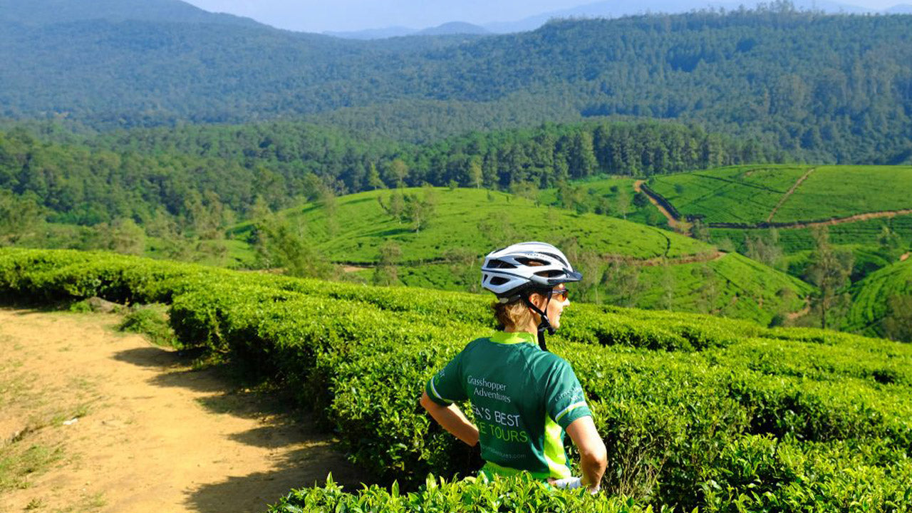 Nuwara Eliya Highlands cykeltur från Kandy